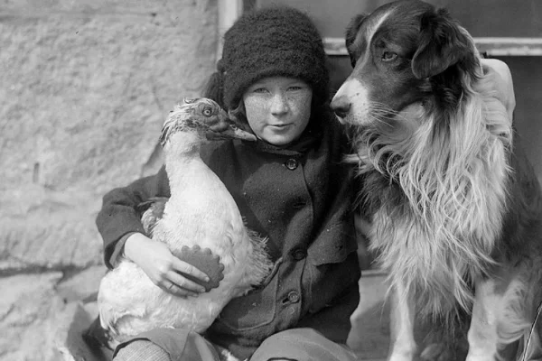 Black and white vintage photograph of a child with a dog and chicken showing life before colorization